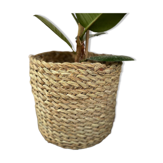 Plant pot