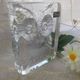 Paperweight signed daum France owl owls
