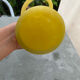 Vase Soliflore col de cygne Vintage – Verre Satiné Jaune