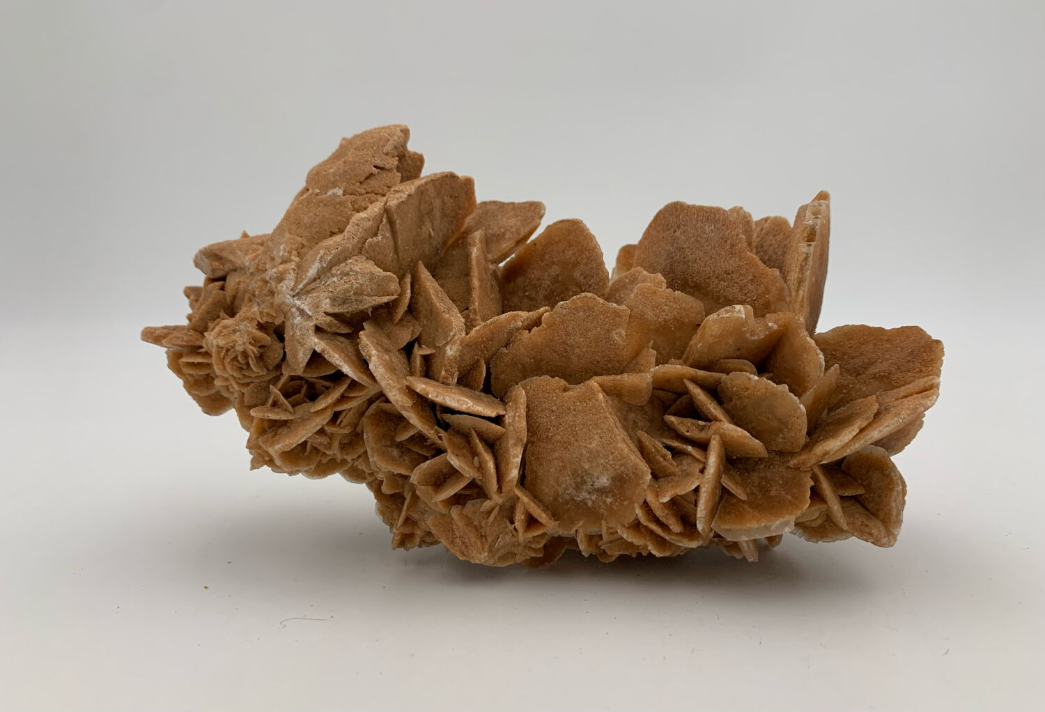 Sand rose, 555 grams, 16 cm x 9 cm