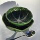 2 bowls slurry cabbage