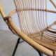 Adult rattan shell chair