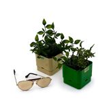 Pair of Modular Indoor Planters 'Smeralda' by Programma Vastill, 1970s