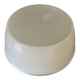 Holophane glass ceiling light