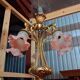 Art Nouveau bronze chandelier with five lights / Nancy school style