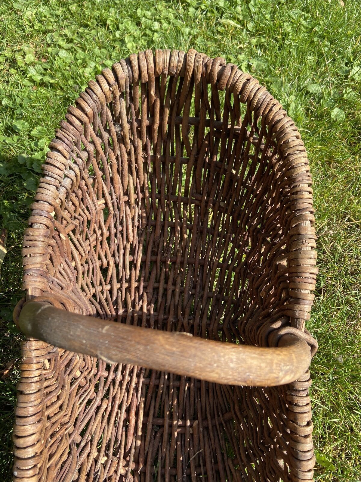 Basket with wicker handle picking vegetable garden mushrooms