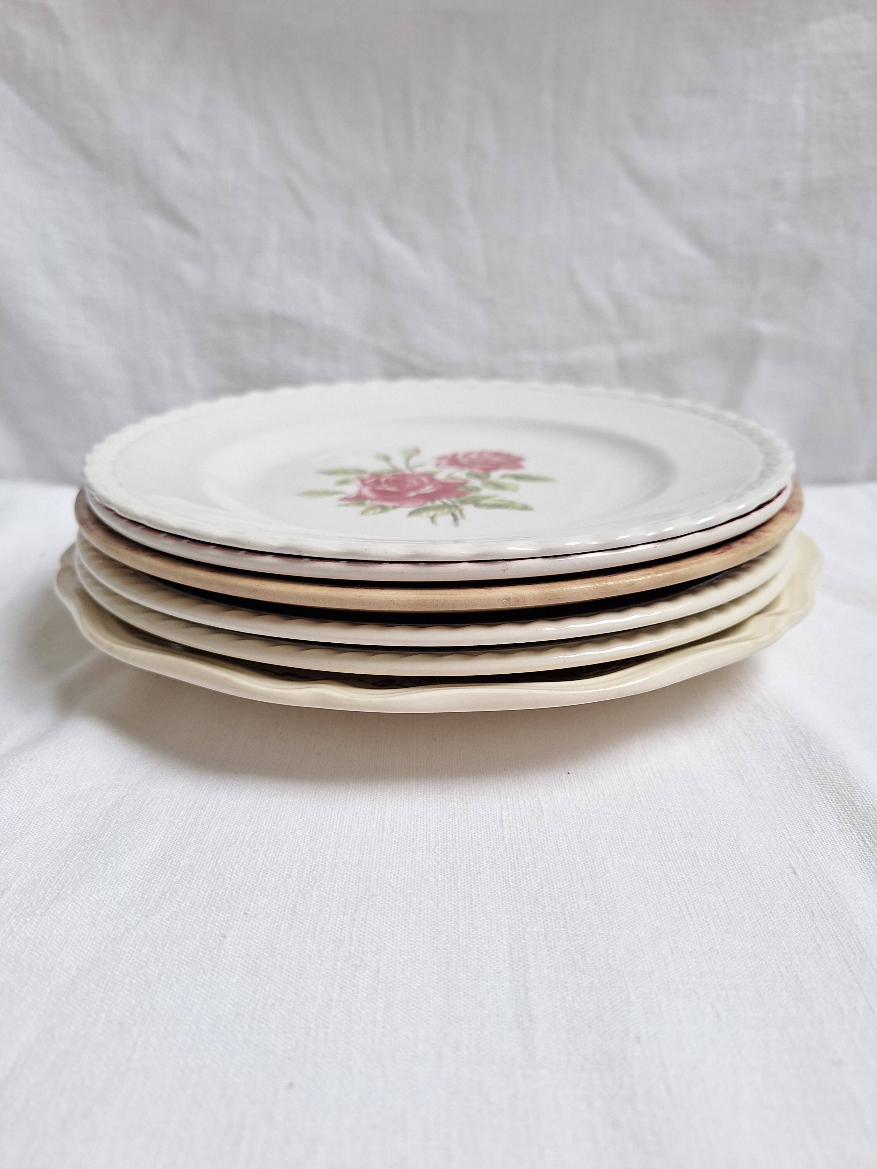 6 blue and pink dinner plates