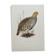 Bird board circa 1962 60 - Gray Partridge - Vintage ornithological illustration