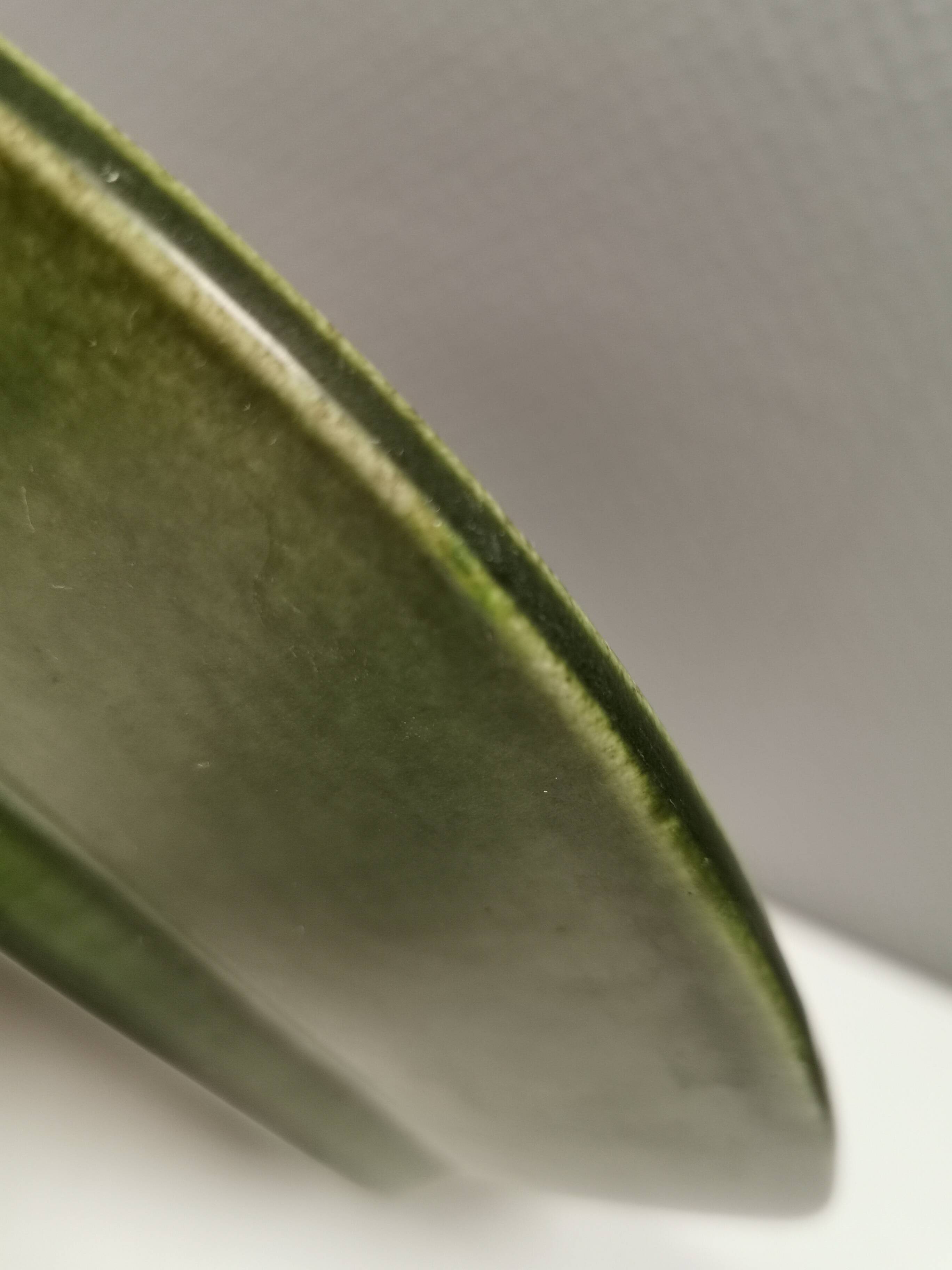 Beautiful large green dish from Danish Knabstrup 1950s