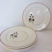 4 assiettes plates vintage de la manufacture des Salins 210663