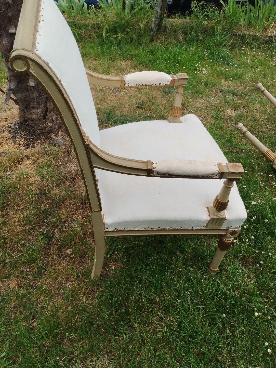 Pair of antique armchairs in Louis XVI style.