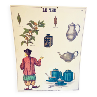 Vintage school poster tea – Émile Deyrolle Paris 1970s