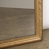 19th C Rectangular Flower and Leaf Mirror