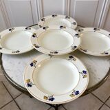 Set of 5 hollow plates Iron Earth model "Romeo" early XXth