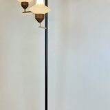 Mid-Century Floor Lamp att. To Stilnovo, 1950s