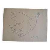 Picasso Lithographie originale 1959 La colombe bleue 38x28cm
