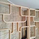 Mid-Century Czech Wall or Room Divider by Ludvik Volak for Drevopodnik Holesov, 1960s, Set of 2