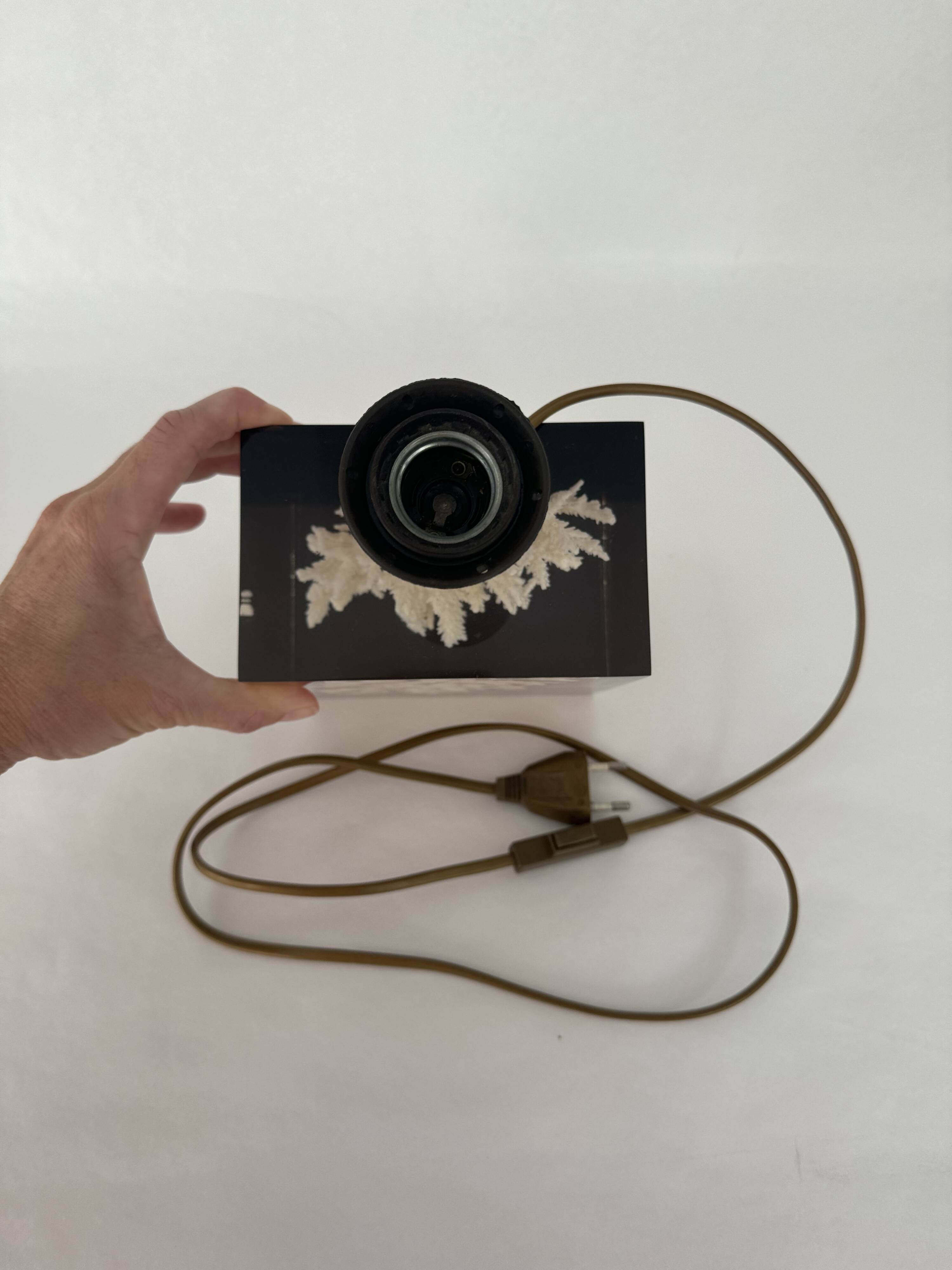 Pierre Giraudon vintage inclusion lamp