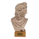 Terracotta bust of Apollo