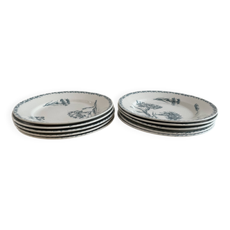 Set of 10 Lunéville ironstone soup plates, Oeillet model