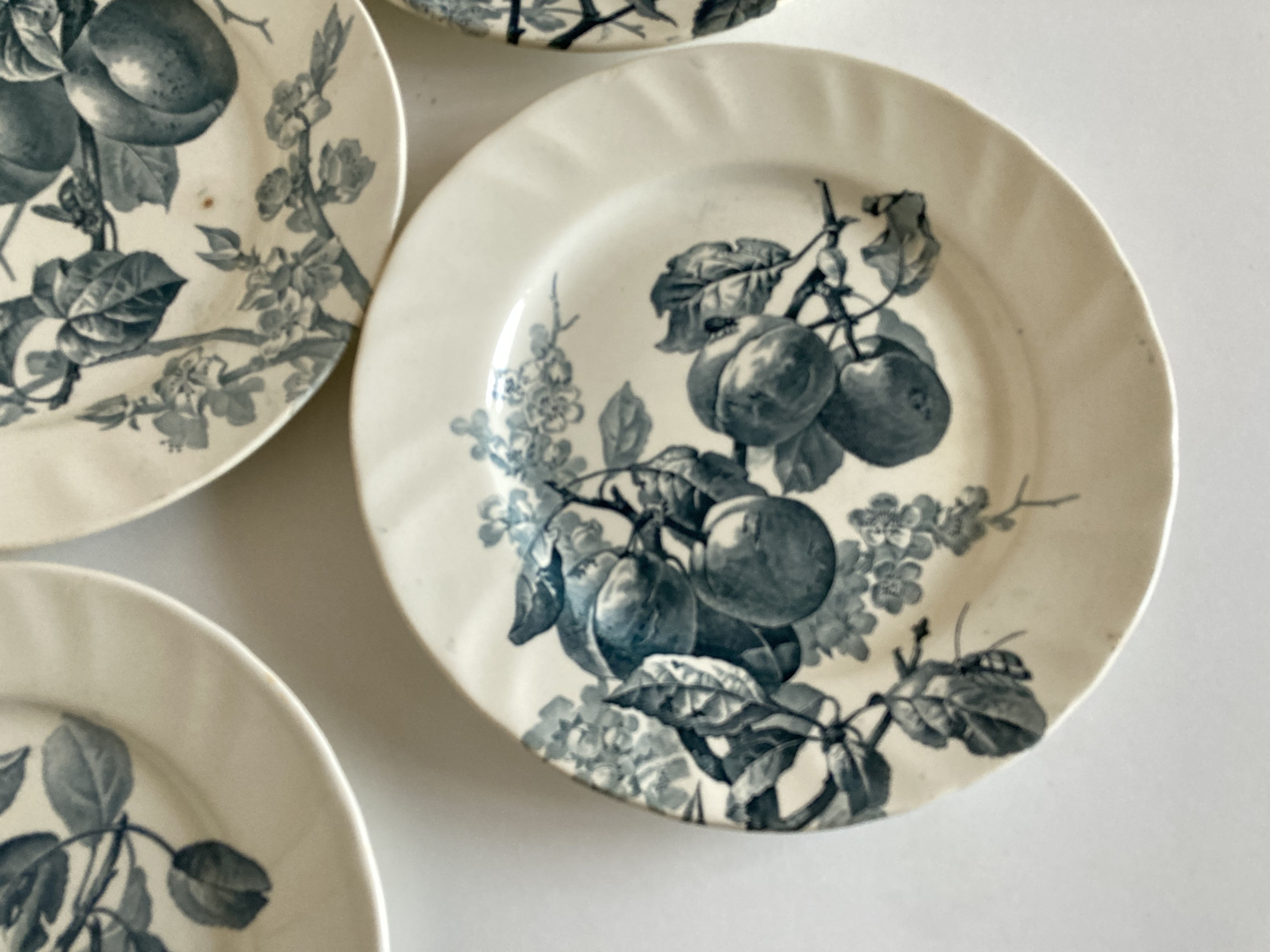 Set of 6 plates Creil Montereau Pomona iron earth early 20th