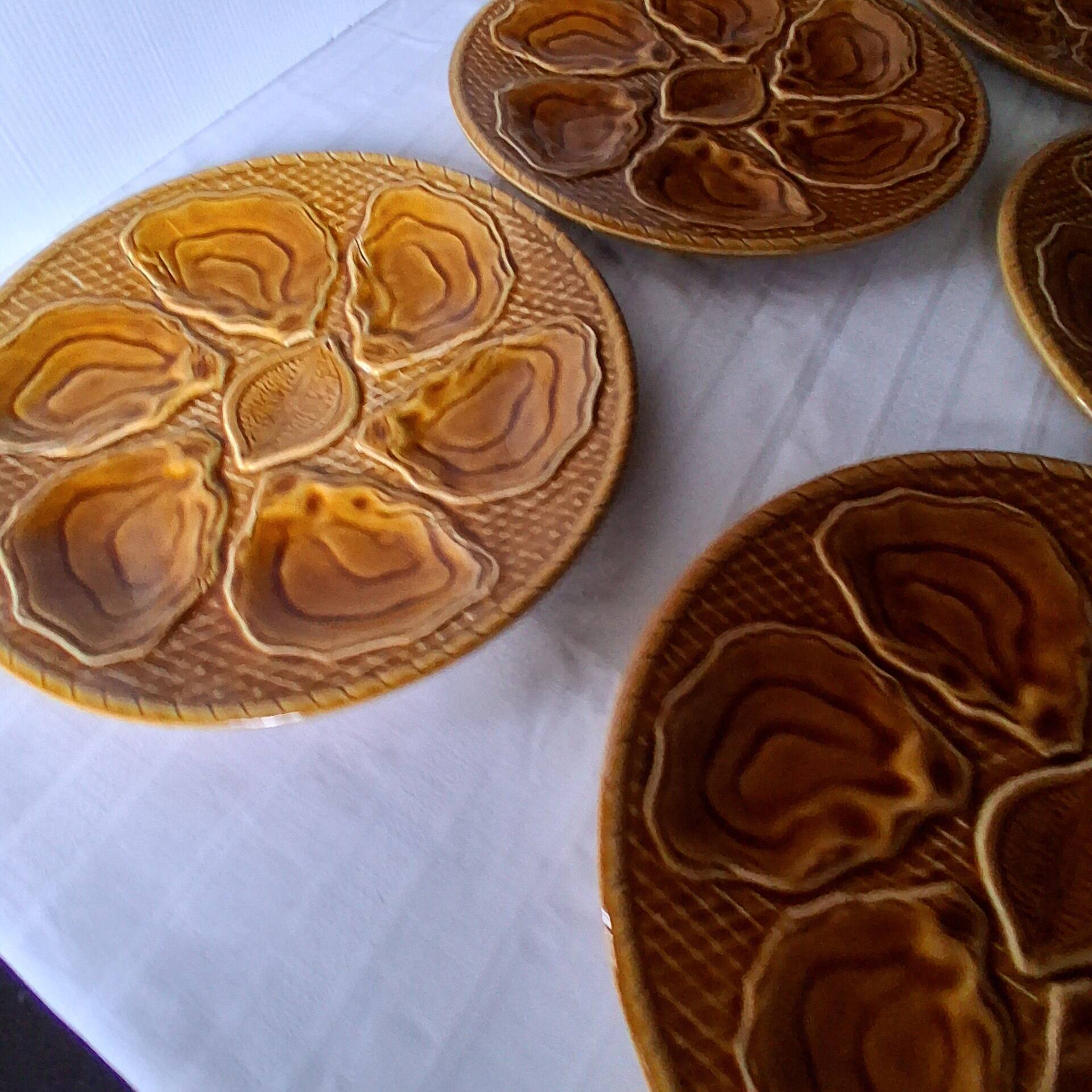 5 oyster or brown shell plates in good condition