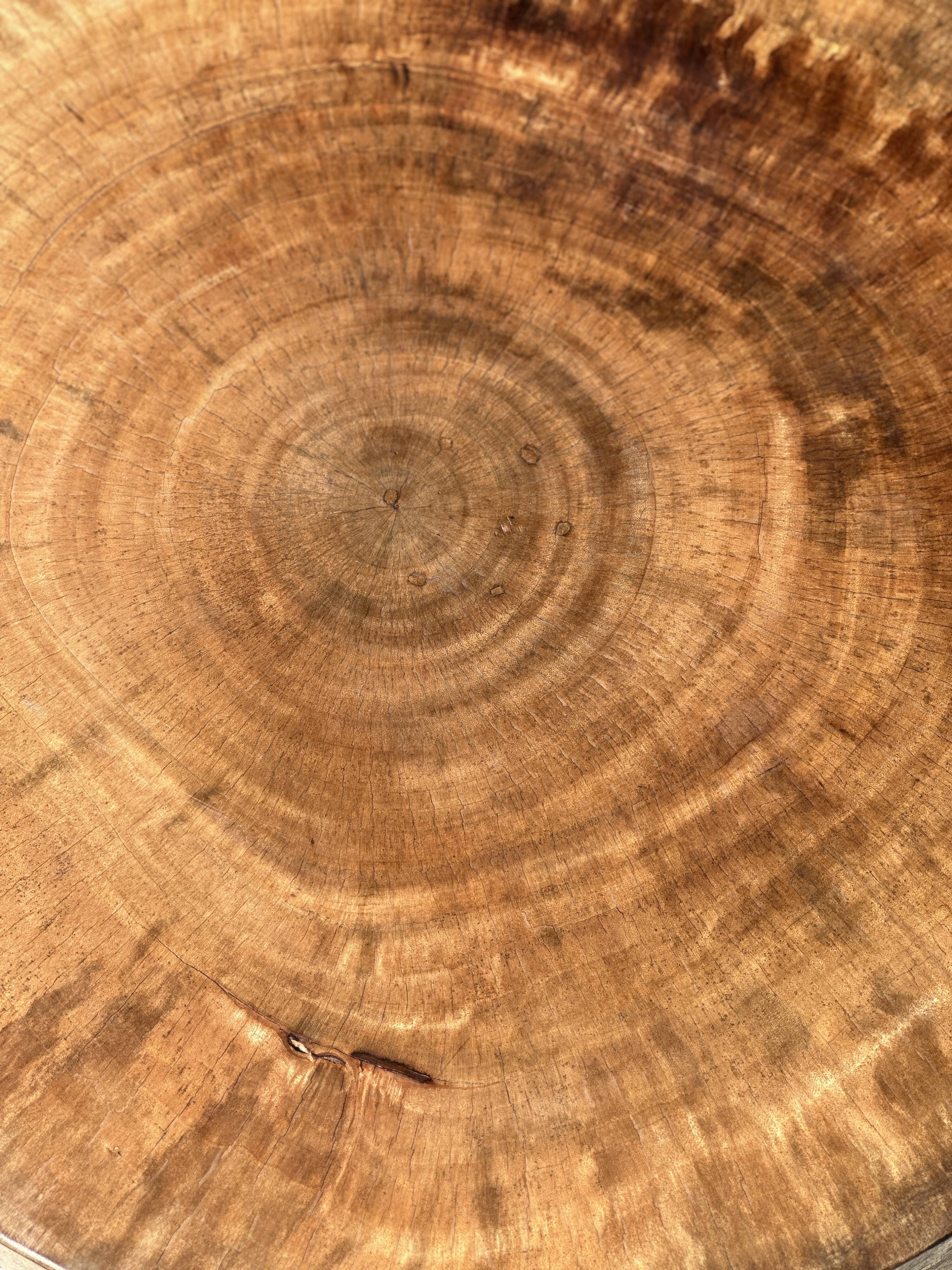 Quadripod coffee table in solid wood monoxyl natural color (dark)