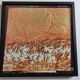 Framed Satellite Photograph - Landsat Image 1980, 42 x 42 cm
