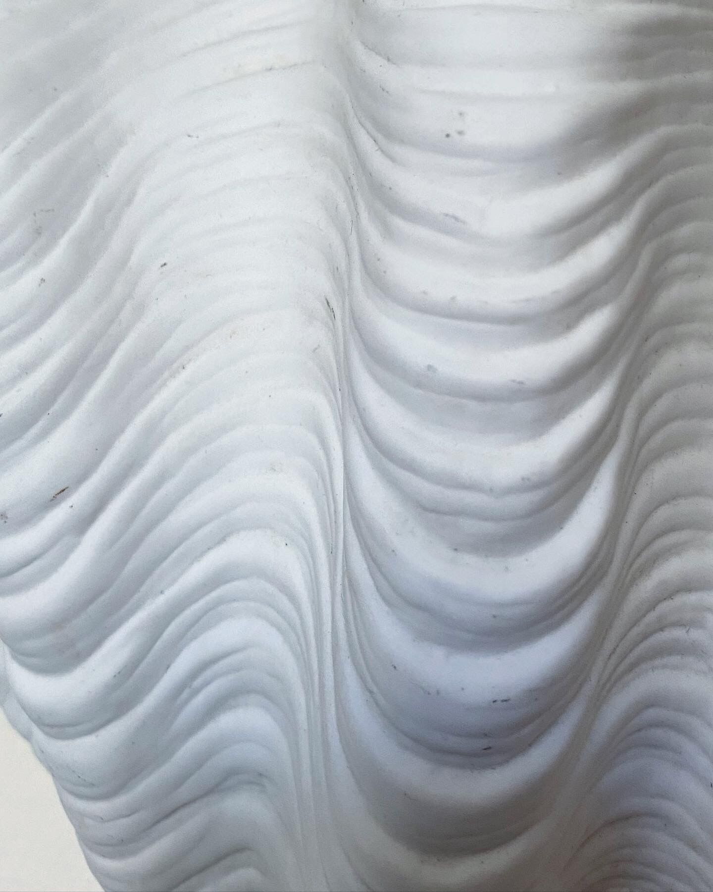 Ceramic shell wall lamp