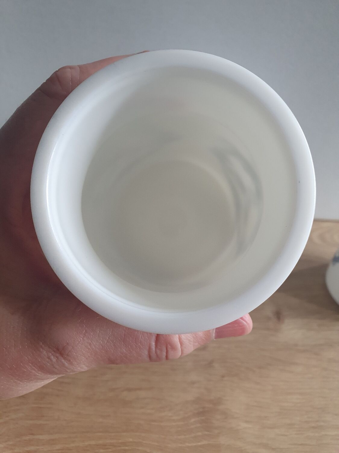 Pots d'apothicaire en opaline