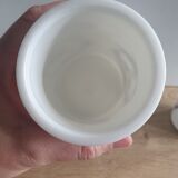 Apothecary jars in opaline