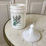 Old pharmacy jar Salvia Officinalis