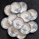 13 Longwy Azaleas dinner plates