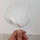 8 small shell-shaped ramekins in transparent glass