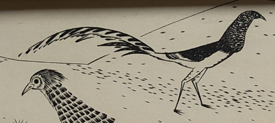 Engraving "Oriental Pheasants" 1950s