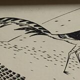 Gravure "Faisans Orientaux" 1950's