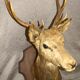 Deer head 10 horns