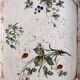 Old wooden tray