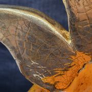 Gérard Crociani soup tureen in orange zoomorphic ceramic French gilded with fine gold Vallauris