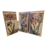 Original flower triptych