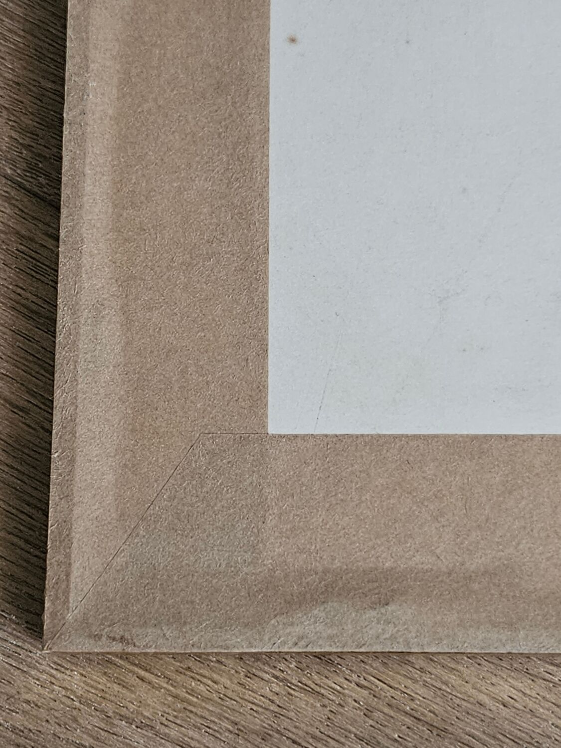 Lithograph Birds on a branch in gilded frame