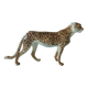 Italian ceramic leopard sculpture