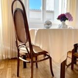 Pair of chairs Thonet 17 reissue FMG