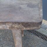 Oak establishment 1900