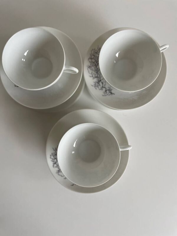 Service de 6 tasses + sous-tasses Françoise Adnet “Corail Noir” – Porc