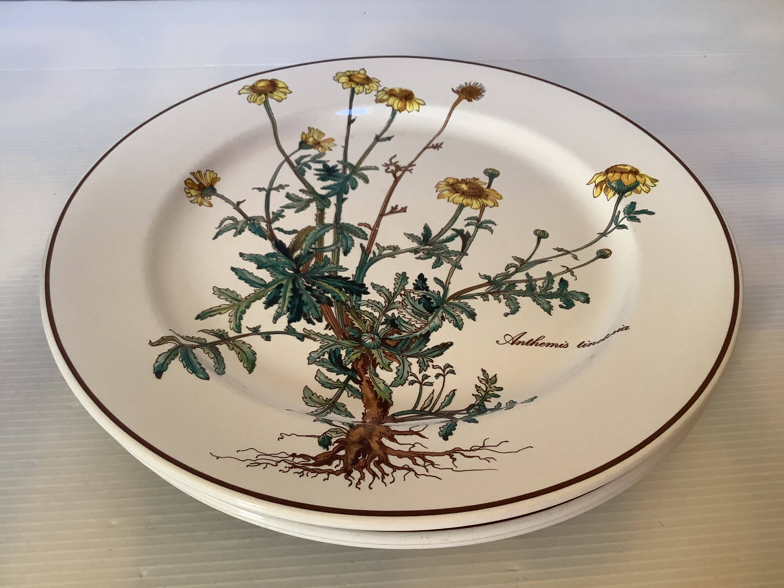 Set of three flat plates with botanical flowers by Villeroy & Boch.