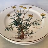 Set of three flat plates with botanical flowers by Villeroy & Boch.