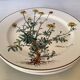 Set of three flat plates with botanical flowers by Villeroy & Boch.