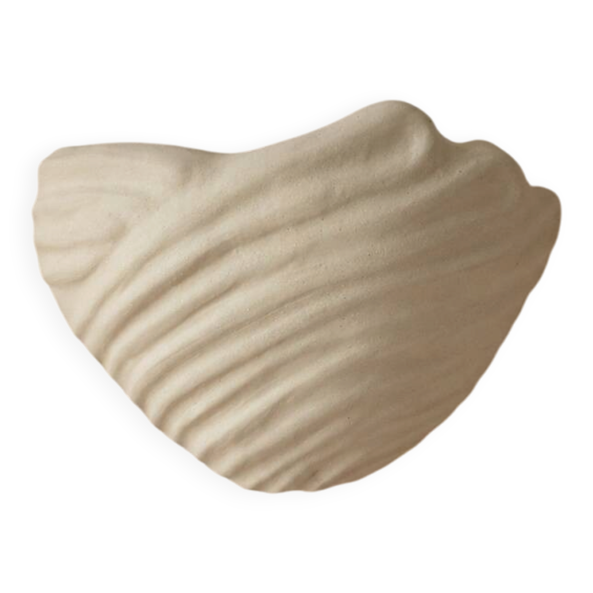 Shell-shaped ceramic applique handcrafted.