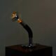 Table lamp Elbow by Bellini for Targetti Sankey
